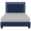 LUMINA-60'' PLATFORM BED-BLUE