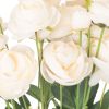 Cream Ranunculus