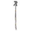 Dried Grey Billy Ball Bunch Of 20