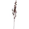 Deep Purple Dancing Orchid Stem