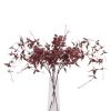 Ornamental Burgundy Leaf