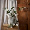 White Florida Clematis