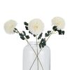 White Chrysanthemum