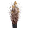 Large Coffee Pompom Alliums In Black Pot