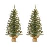 Pine Tree 3'H (Set of 2) PVC/Metal