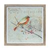 Framed Bird Print (Set of 3) 10"SQ MDF/Plastic/Paper