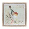 Framed Bird Print (Set of 3) 10"SQ MDF/Plastic/Paper