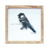 Framed Bird Print (Set of 4) 9.5"SQ MDF/Wood
