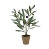 Potted Olive Plant (Set of 2) 13.5"H Polyester
