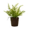 Potted Fern Bush (Set of 2) 15"H Plastic